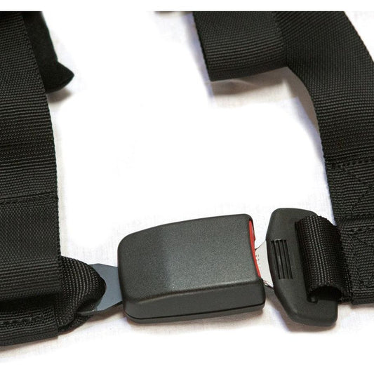 4.2 Harness (New Glory)