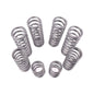 Polaris RZR Pro R Dual Rate Spring Kit