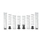 Kawasaki KRX 4 Stage 3 Spring Kit