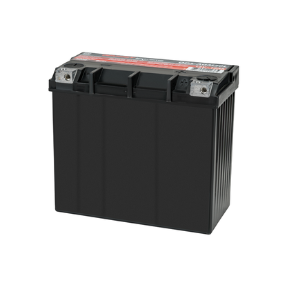 ODS-AGM20L Extreme Battery