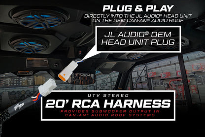 20' RCA Harness