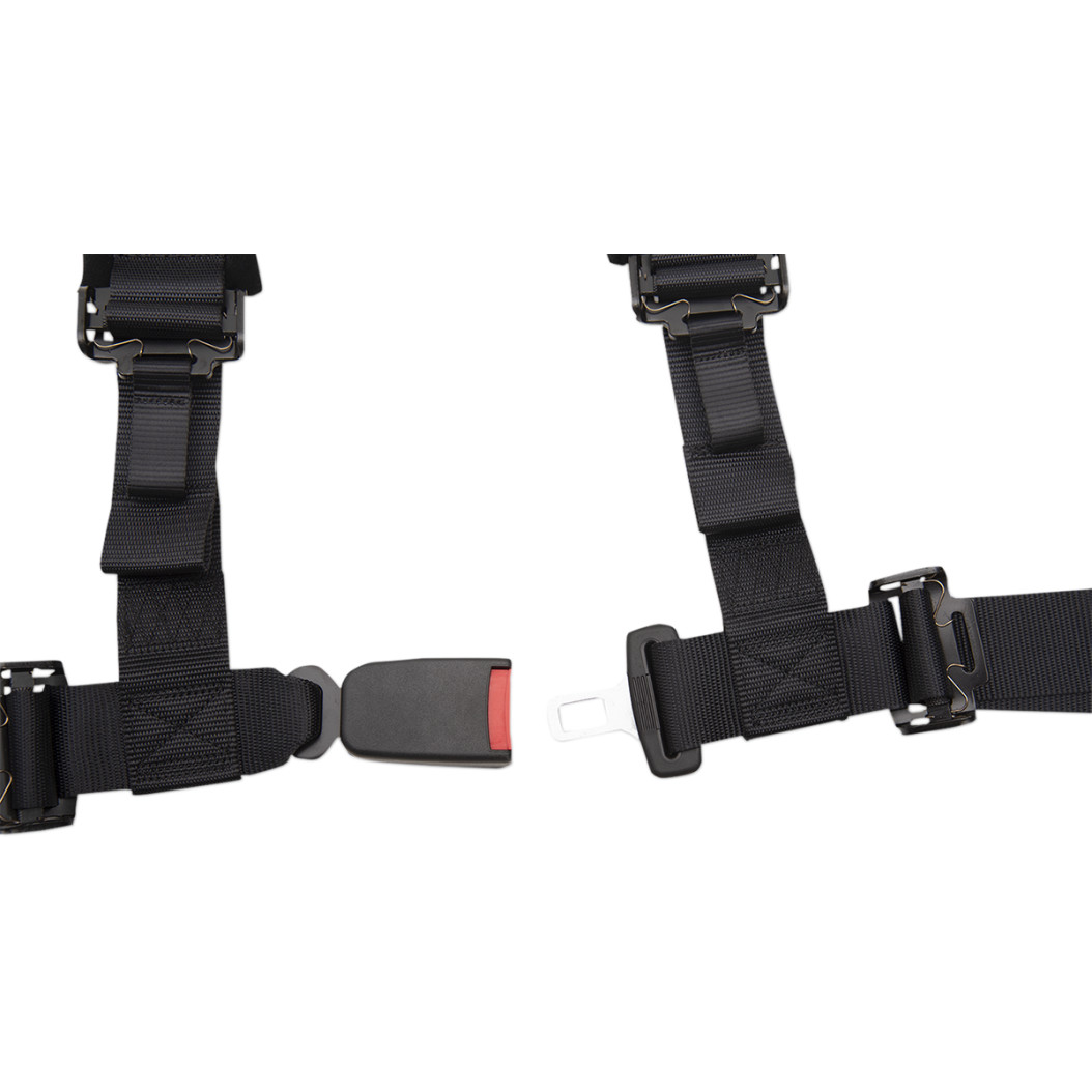 4 point 2" Harnesses