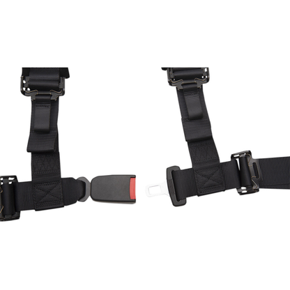 4 point 2" Harnesses