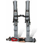 4 Point 2" Harness with Buckle | DragonFire Racing