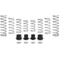 Polaris RZR Pro XP 4 Walker Evans Stage 2 Spring Kit