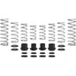 Polaris RZR XP 4 Turbo Fox (2018-2020) Stage 2 Spring Kit