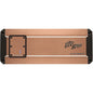 Elite Series Monoblock Amplifier