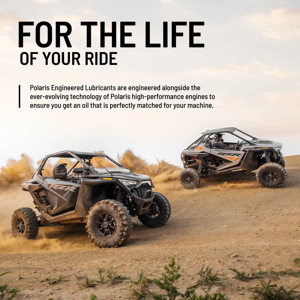 Polaris AGL Automatic Gearcase Lubricant & Transmission Fluid