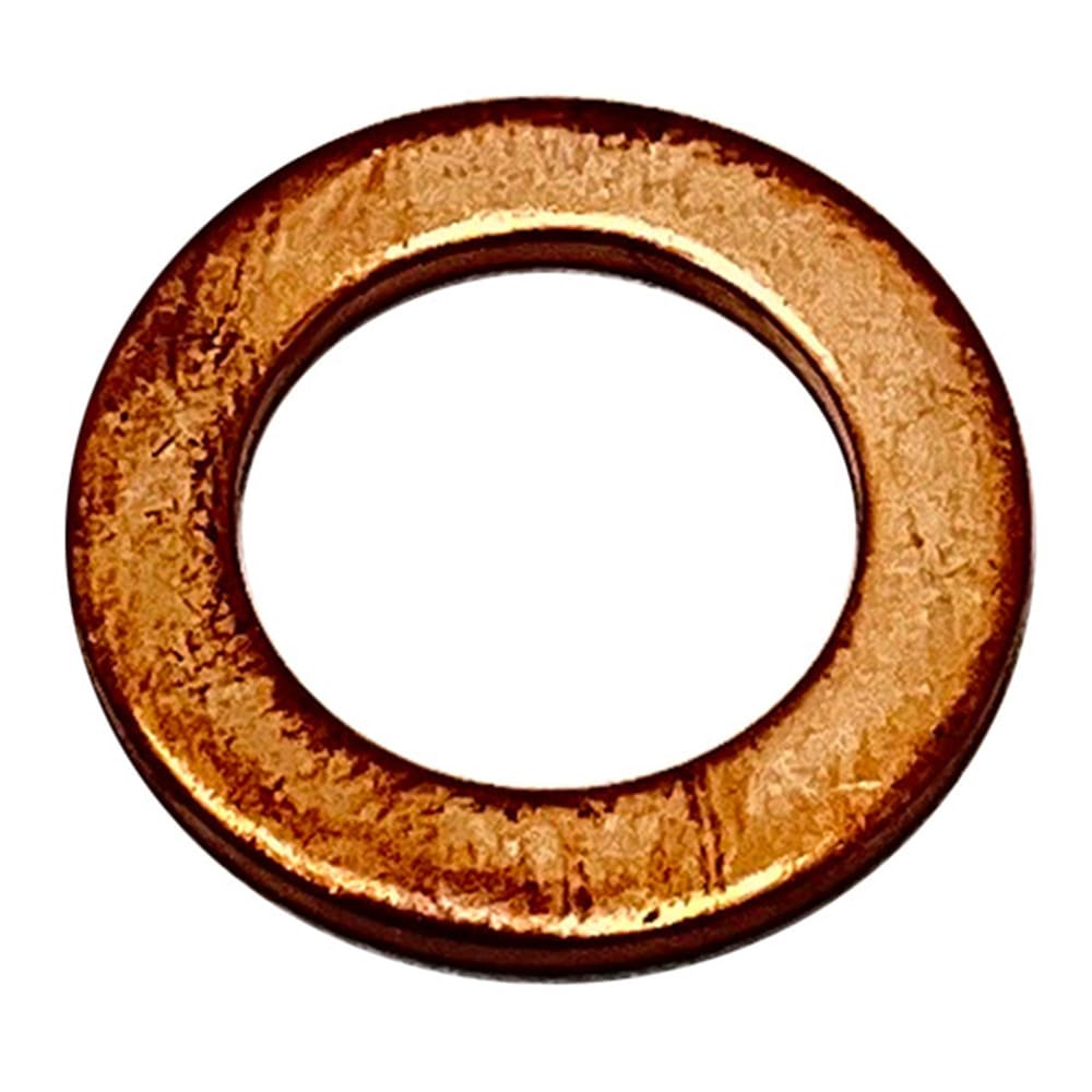 Polaris Copper Washer
