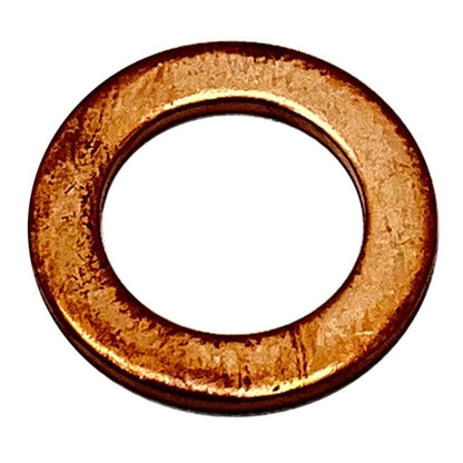 Polaris Copper Washer