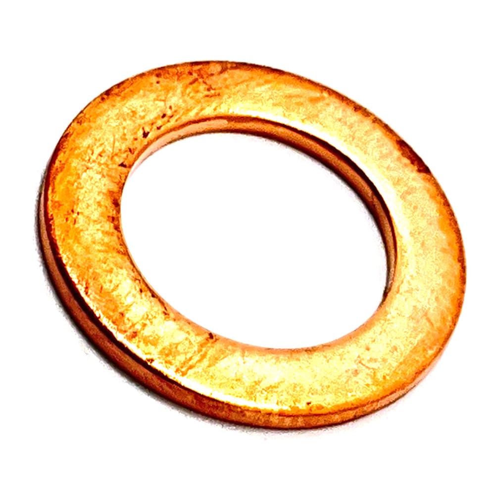 Polaris Copper Washer