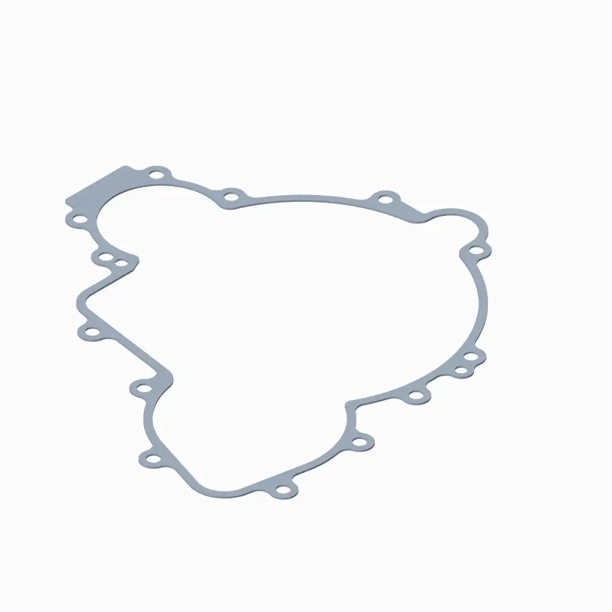 Polaris Cover Gasket