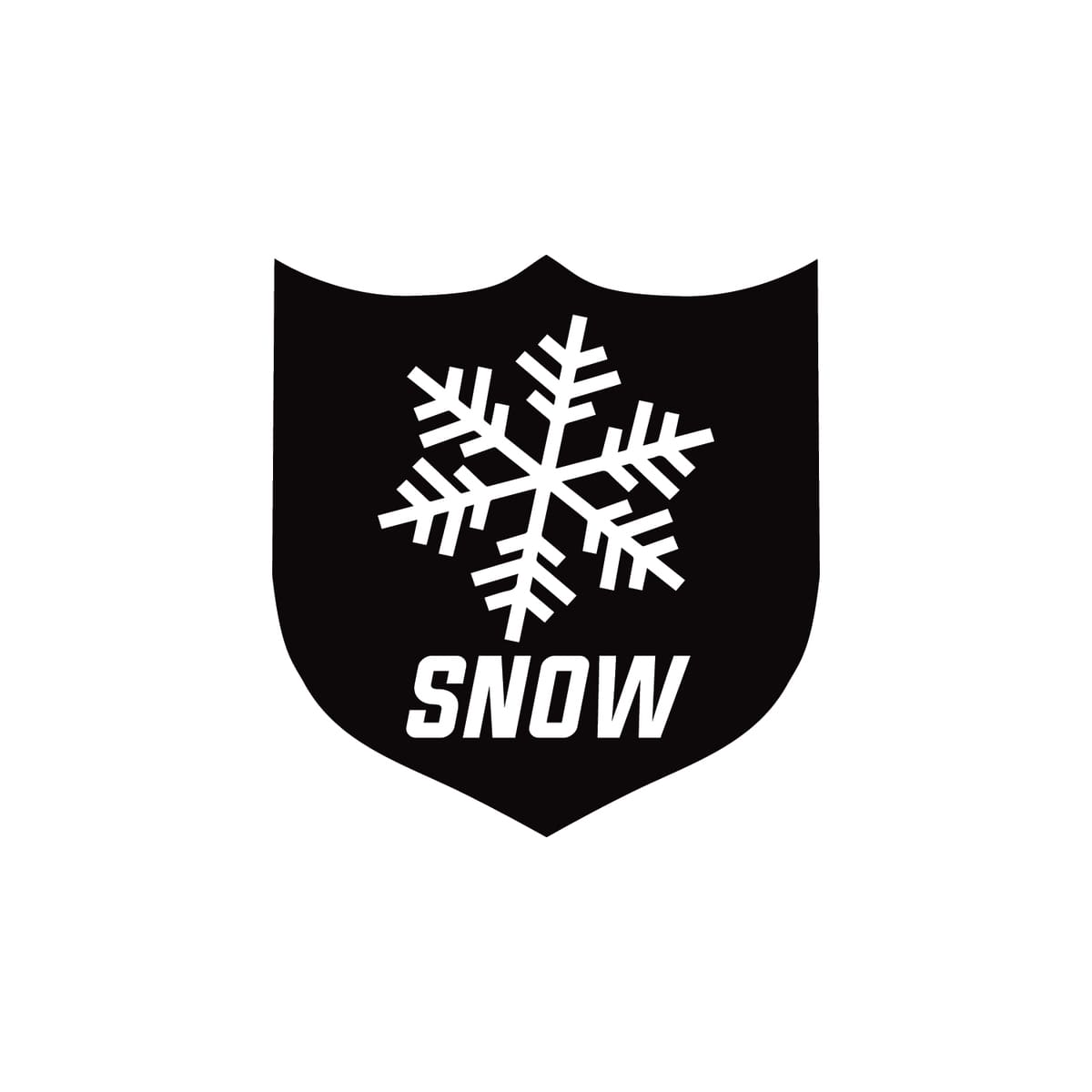 Polaris RZR Pro Armor Whiteout Tire