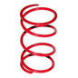 Polaris Driven Clutch Spring | SLP