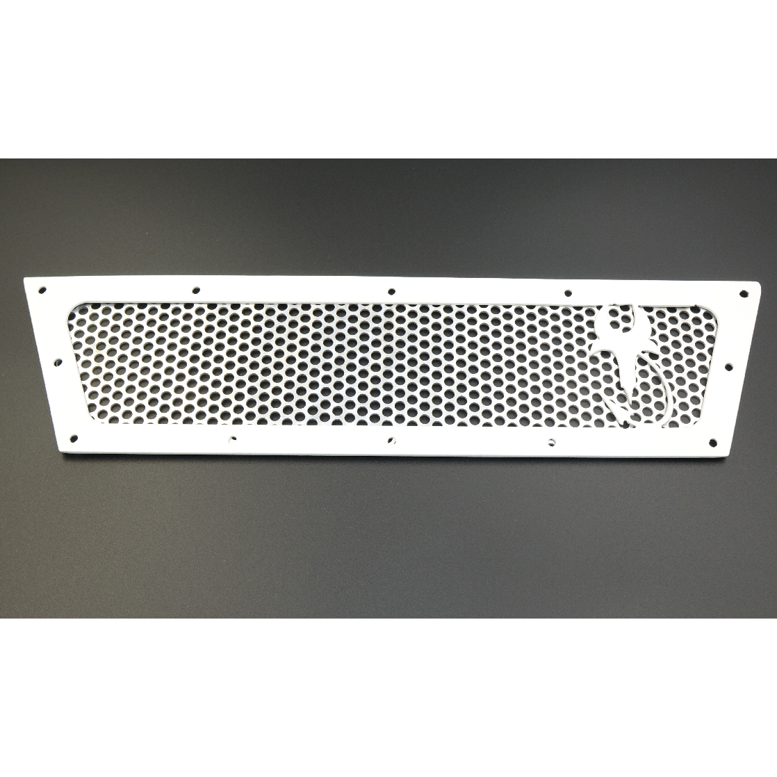 Polaris RZR XP 1000 / Turbo (2019-2022) Glass Windshield
