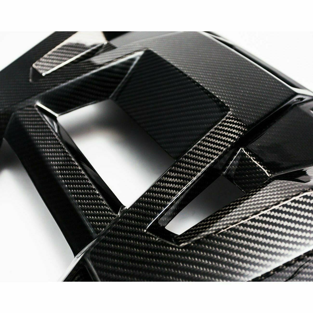 Polaris RZR Carbon Fiber Exhaust Shield