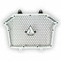 Polaris RZR Pro XP Stinger Front Grille