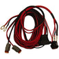 Dual Light Wiring Harness