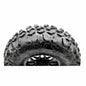 Carnivore UTV Tire