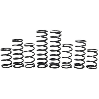 Polaris RZR Turbo R Walker Evans Stage 1 Spring Kit